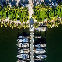 Coconut Grove