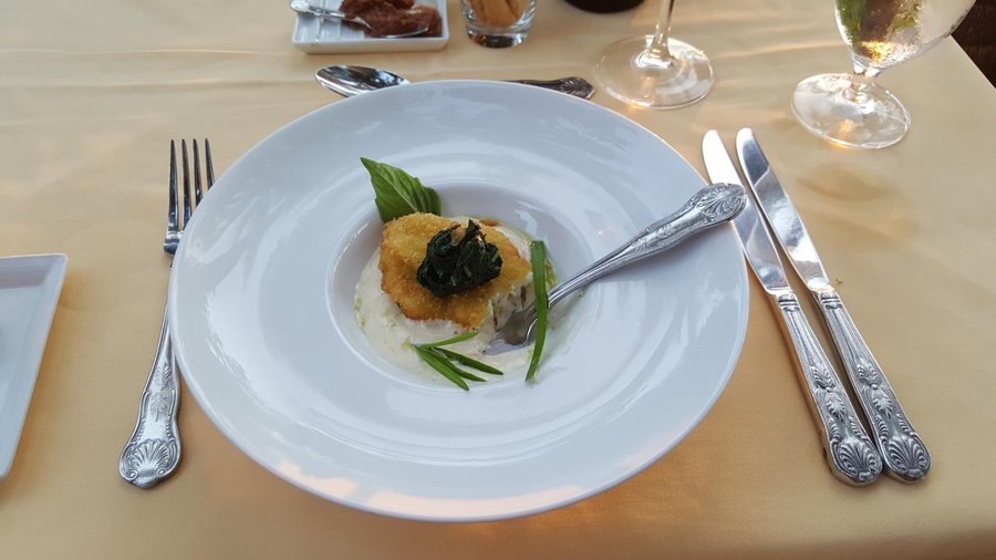 Appetizer was a Parmesian encrusted in mushroom sauce. Very tasty