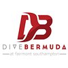 Dive_Bermuda