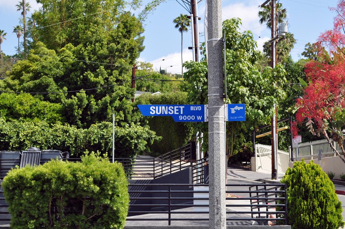 Sunset Boulevard is L.A.'s coolest street—but which part exactly?