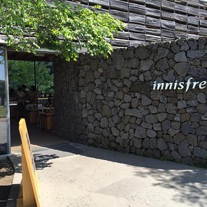 Artbox - Jeju - All You Need to Know BEFORE You Go (with Photos)