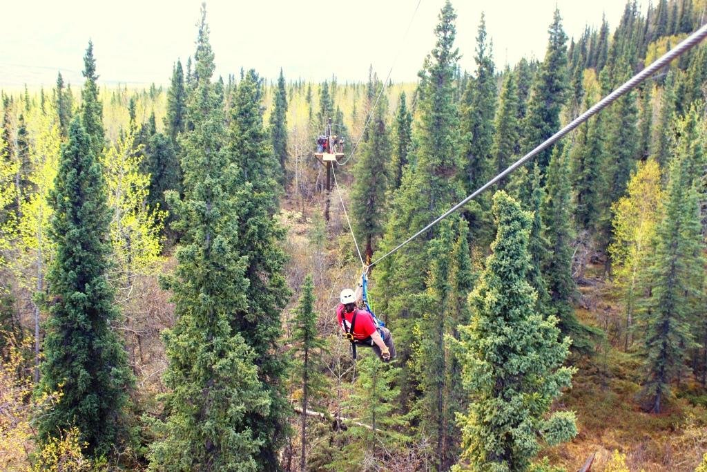 Denali Park Zipline - All You Need To Know Before You Go (2024)