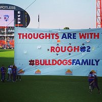 Competitor team (Western Bulldogs) banner