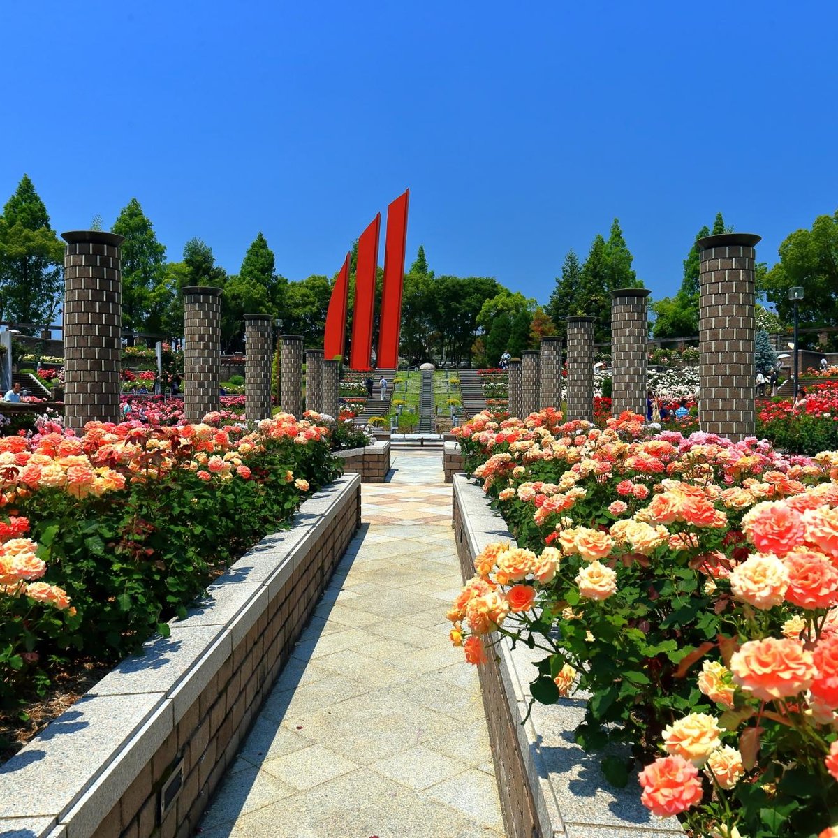 Aramaki Rose Garden, Itami: лучшие советы перед посещением - Tripadvisor