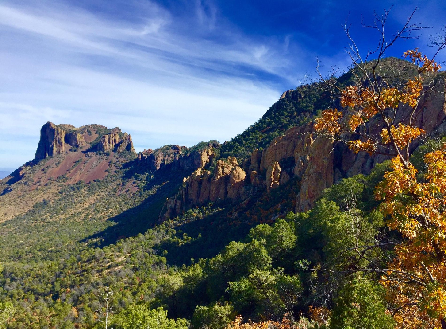 Chisos Basin Campground by null