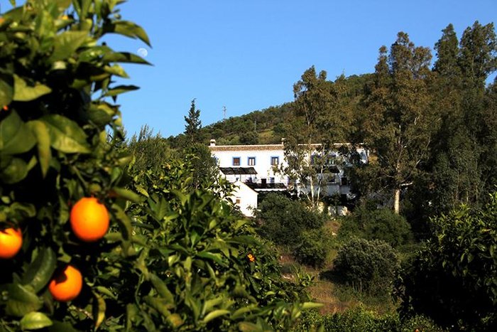 Imagen 9 de Casas Rurales La Molineta