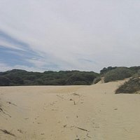 Parque