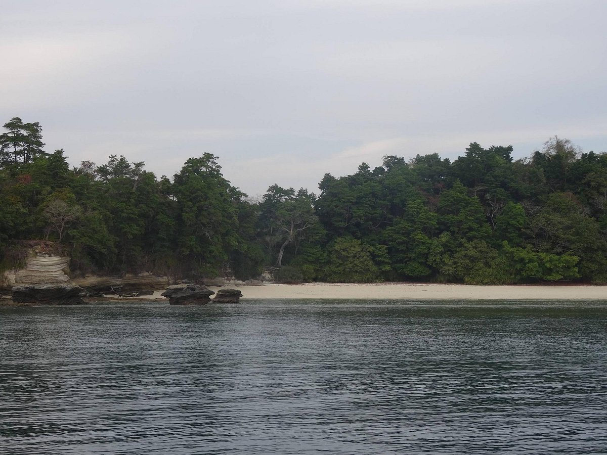 Langkawi Dolphin Cruise Aktuell Für 2022 Lohnt Es Sich Mit Fotos