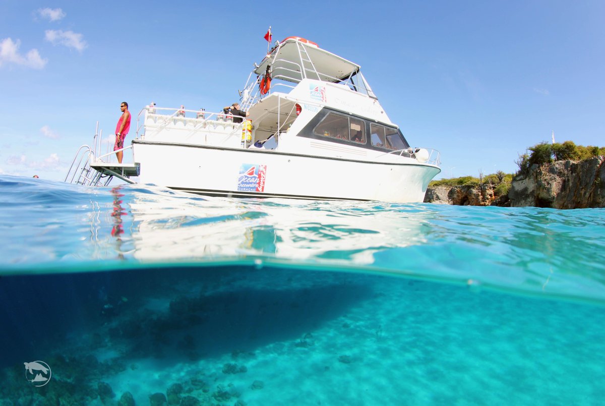 Ocean Encounters Diving (Willemstad) - All You Need to Know BEFORE You Go