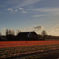 getlstd_property_photo