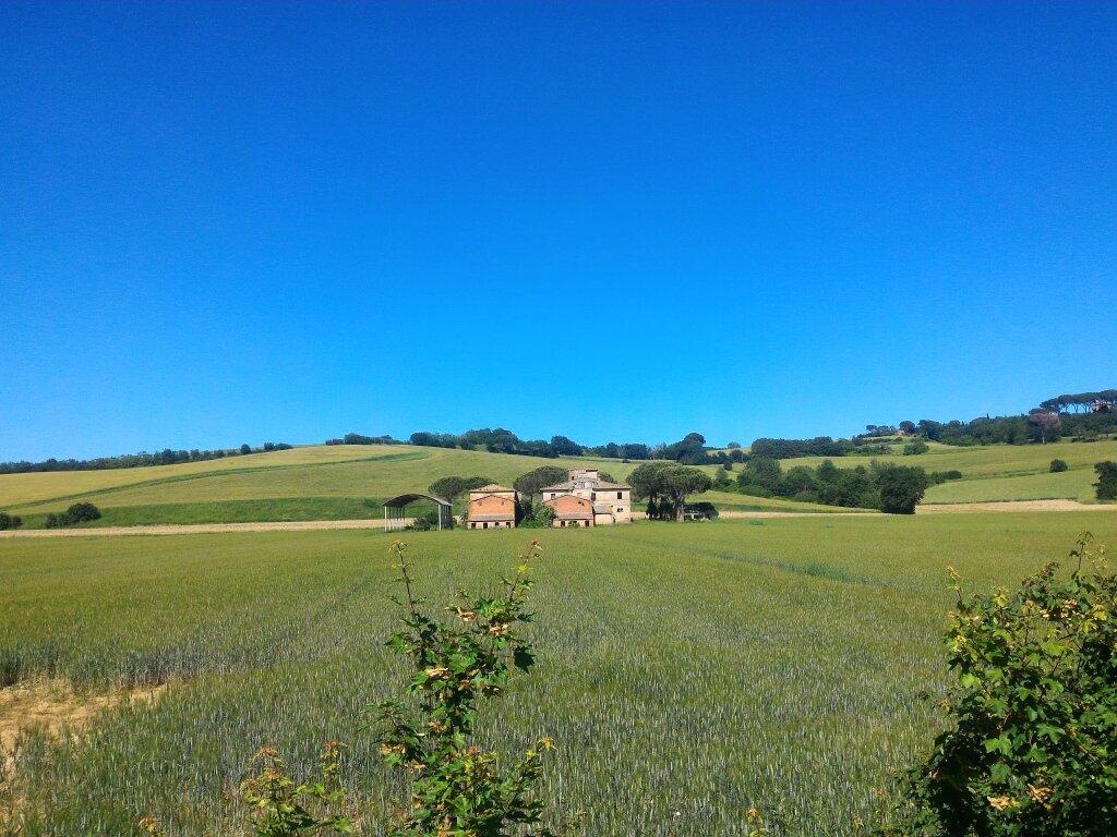 I migliori Sentieri per trekking in Provincia di Arezzo