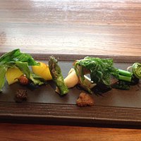 fresh seasonal japanese wild vegetables
