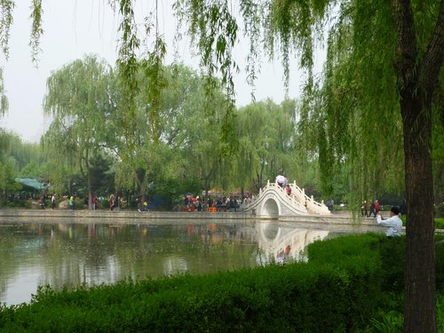 Luoyang review images