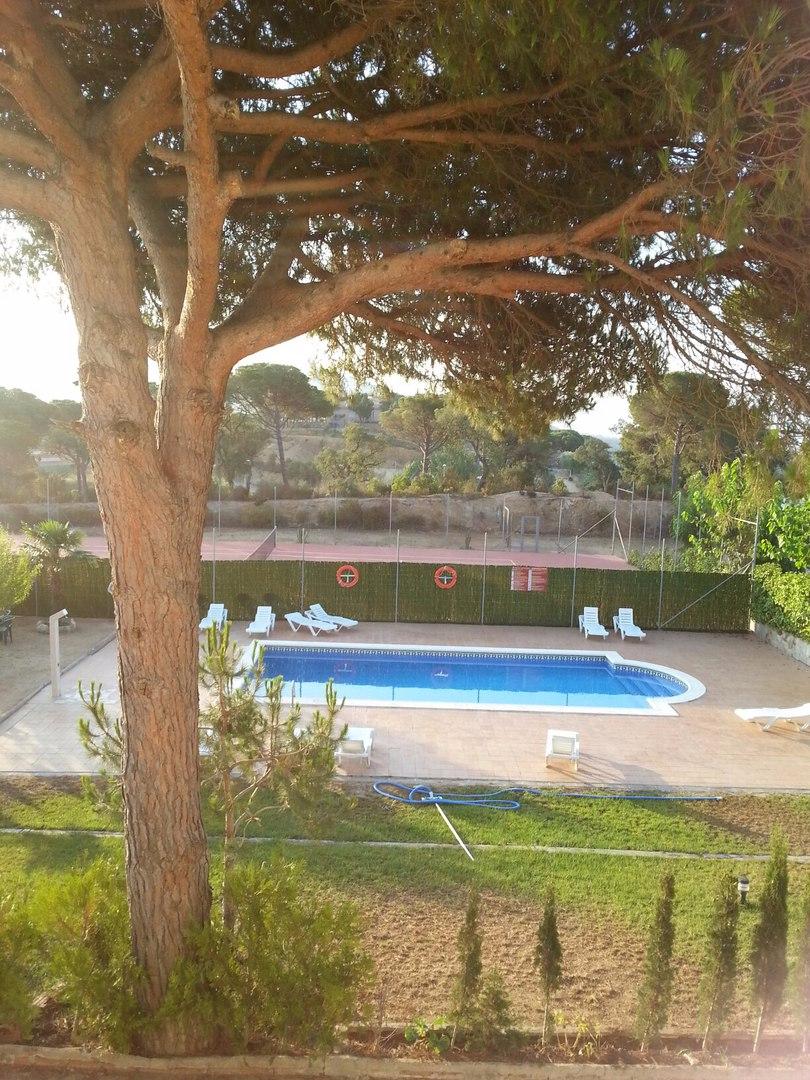 Hostal Los Pinares by null