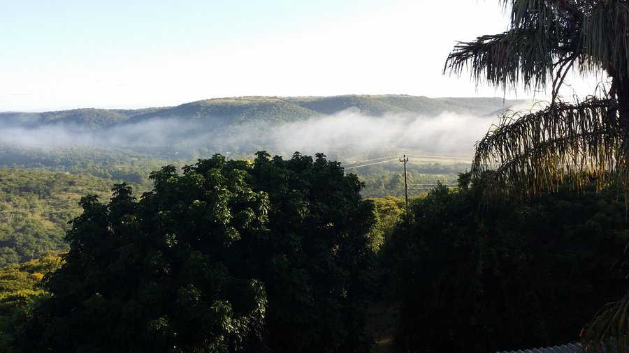 Morning dew over the valley