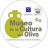 Museo_C_Olivo