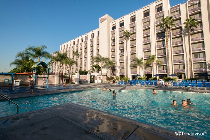 The Knott's Hotel Pool: Pictures & Reviews - Tripadvisor