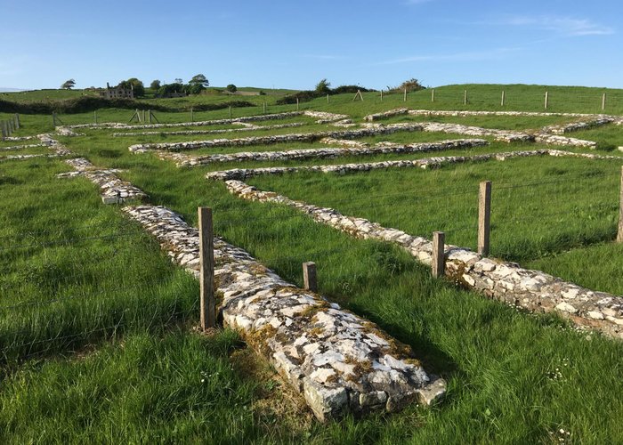 Foundations of cloisters and buildings at Rathfran Priory