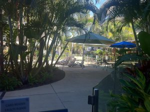 Pool & Beach