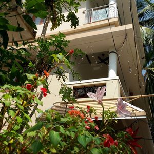 Kevin's Placid Homestay