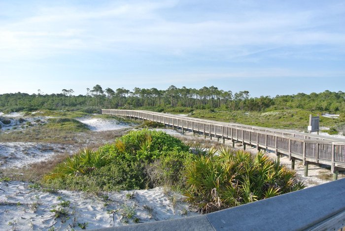 Topsail Hill Preserve State Park Pool: Pictures & Reviews - Tripadvisor