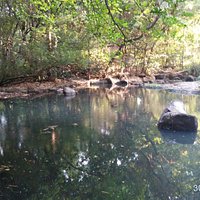Osho Garden