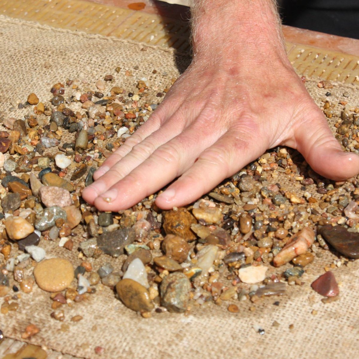 Gold prospecting and gem stone fossicking near Brisbane - Brisbane Kids