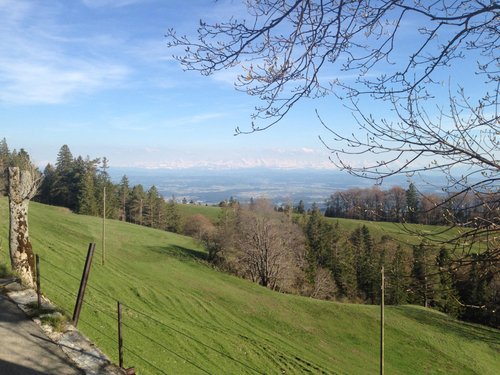 11 awesome things to do in (and around) Solothurn