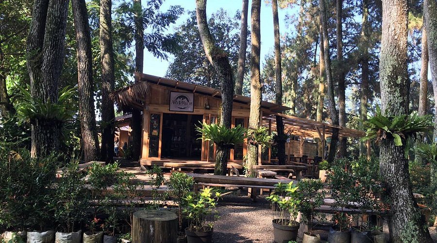 cafe di dago pakar bandung Armor Kopi