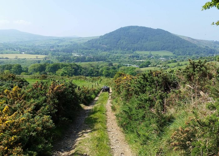 Views from Ballacraine Quad Bike Trail Rides