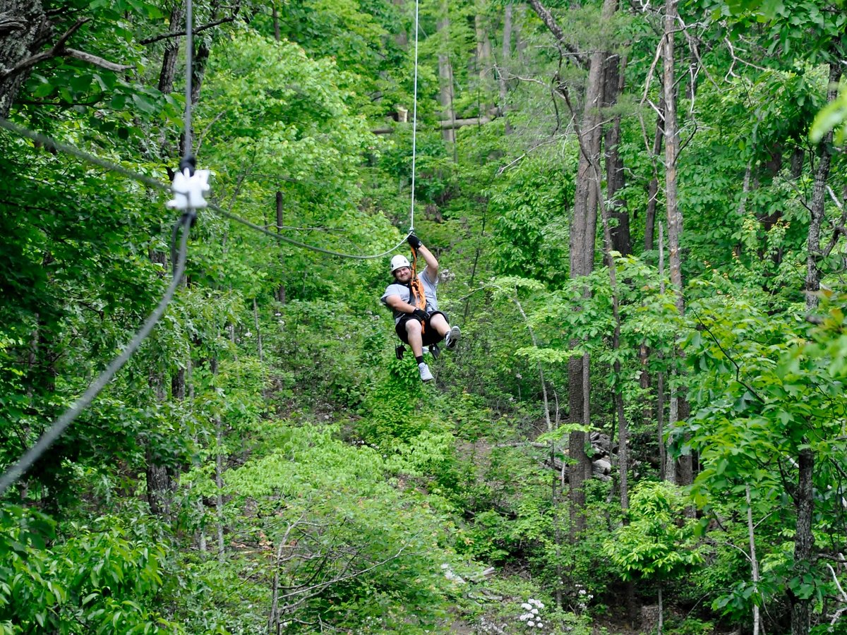 zipline tours gatlinburg