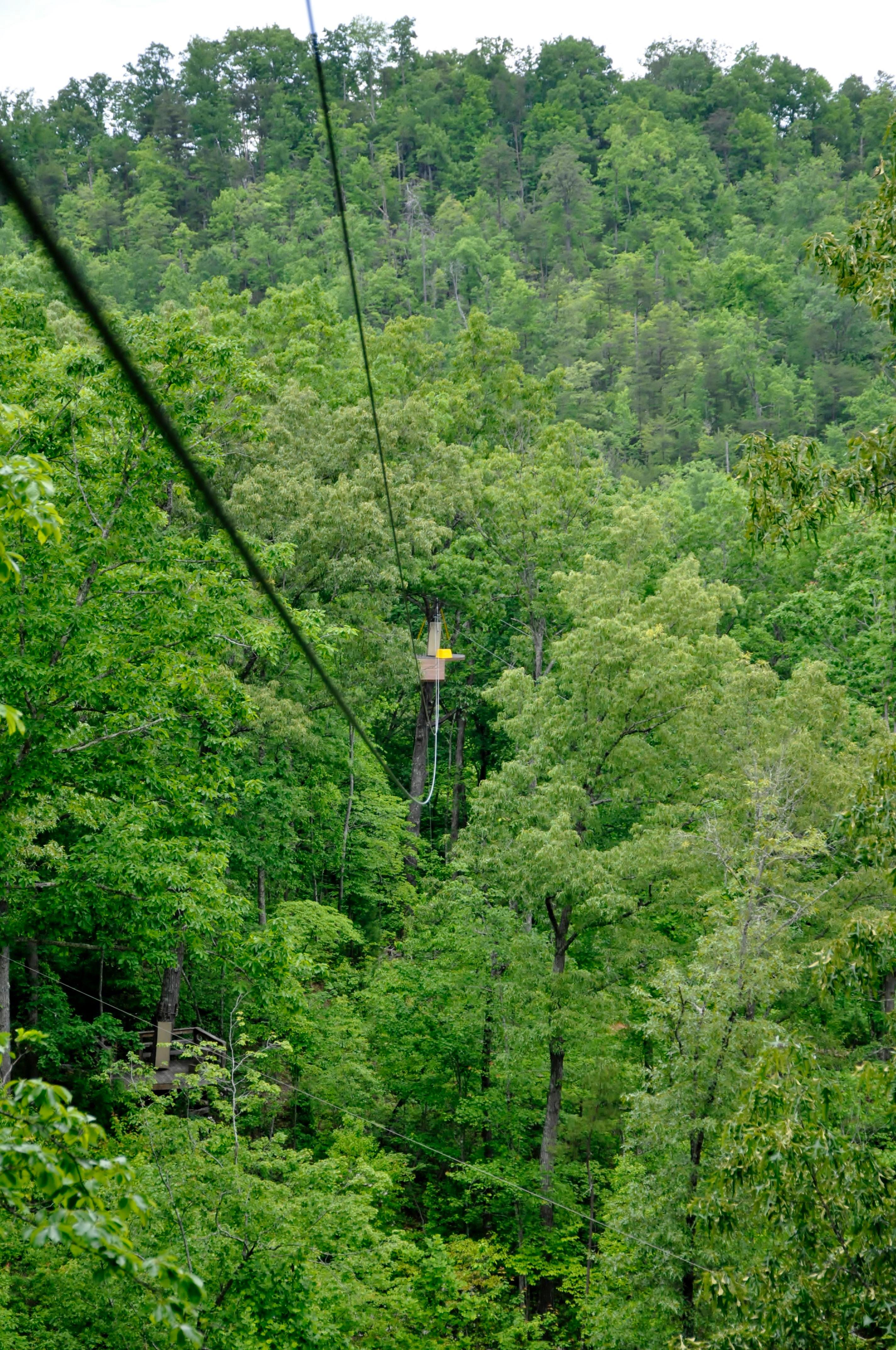 Smoky Mountain Ziplines Pigeon Forge 2023 Lo Que Se Debe Saber   Line Five Over 150 High 