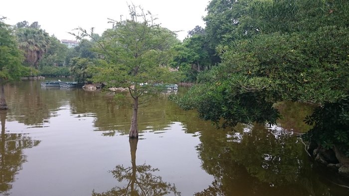 Imagen 10 de Gran Lago del Parque de la Ciudadela