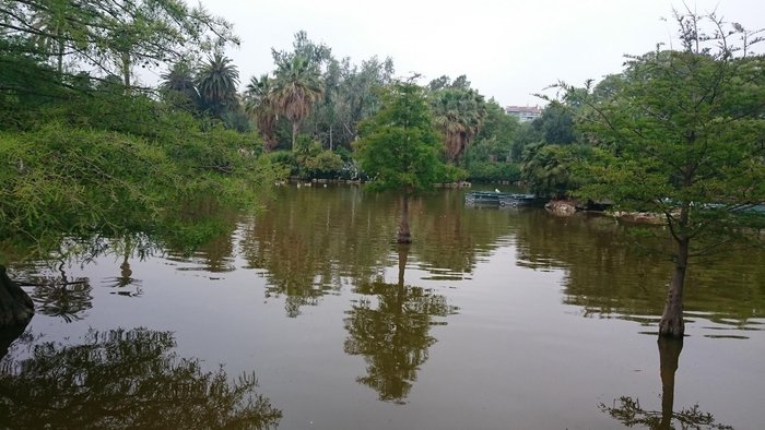 Imagen 9 de Gran Lago del Parque de la Ciudadela