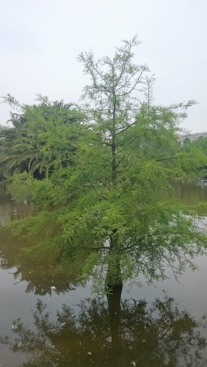 Imagen 6 de Gran Lago del Parque de la Ciudadela