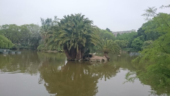 Imagen 5 de Gran Lago del Parque de la Ciudadela