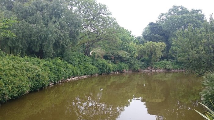 Imagen 2 de Gran Lago del Parque de la Ciudadela