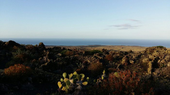 Imagen 3 de El Cortijo Eco Finca