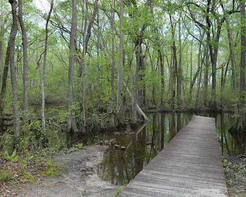 THE 10 BEST South Carolina State Parks (Updated 2024) - Tripadvisor