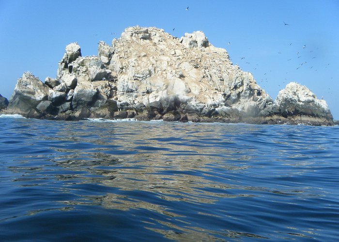 Tour around island Standing and paddle in Peru