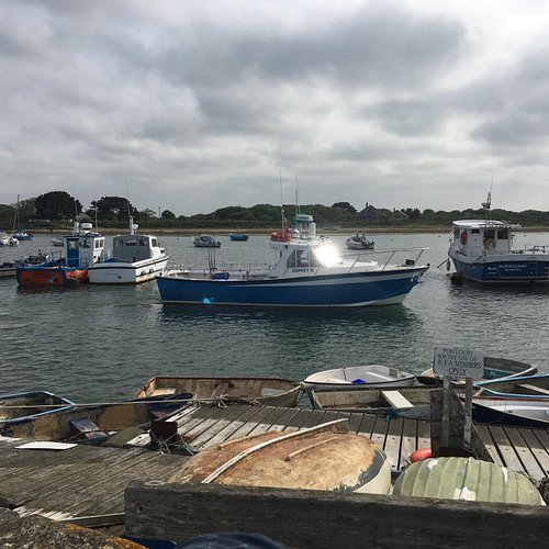 Fishing - Visit the New Forest