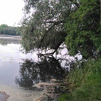 Jezioro Rusałka