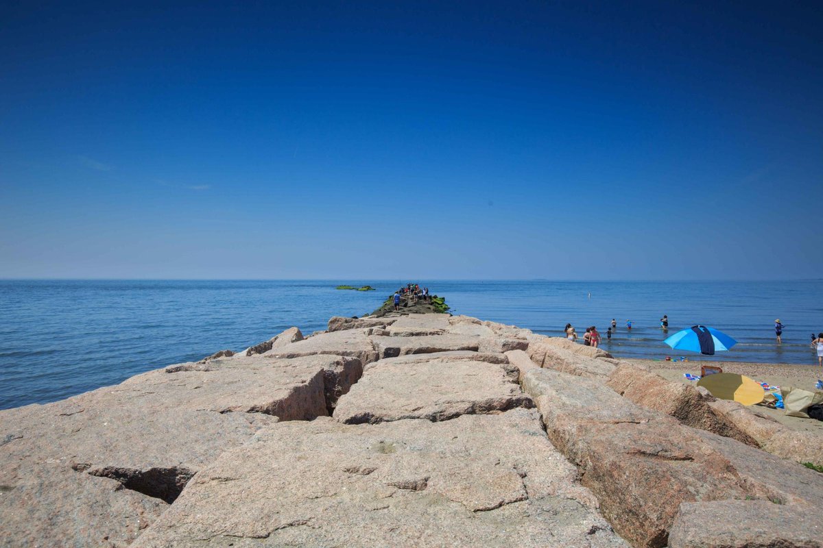 are dogs allowed at hammonasset state park