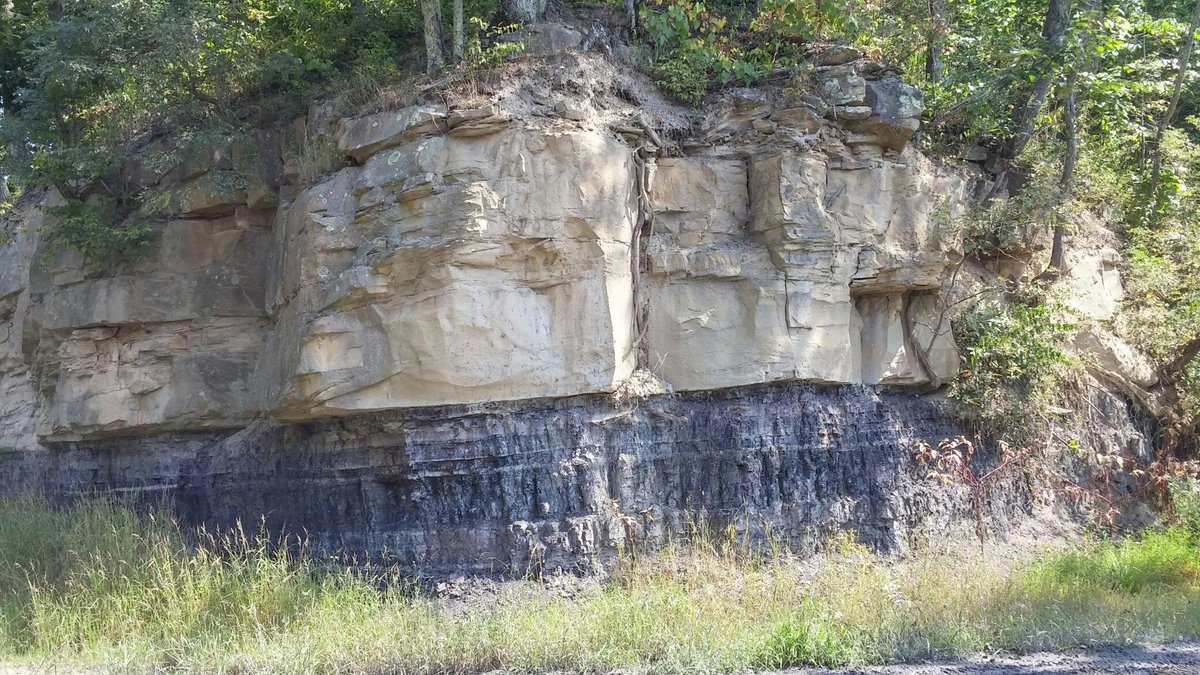 Hatfield McCoy Trail - Buffalo Mountain Trail System - All You Need to ...