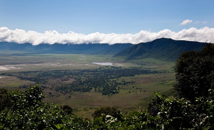 Ngorongoro Rhino Lodge Bar or Lounge: Pictures & Reviews - Tripadvisor