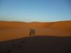 SandS-Sco