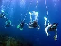 orlando florida snorkeling tours