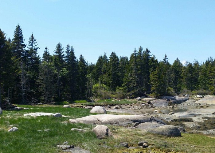 The Quiet Beauty of Nature