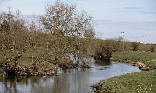 Meander off the river Nene just outside the reserve it acts as an overspill for the ponds in flo