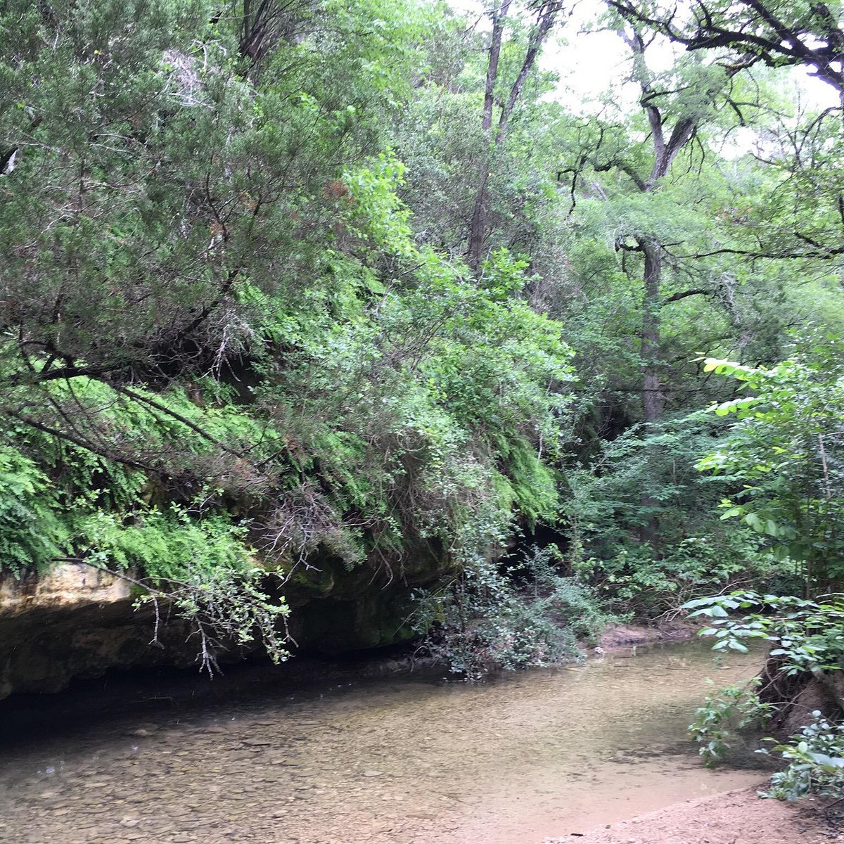 Turkey Creek Trail - All You Need to Know BEFORE You Go (2024) - Tripadvisor